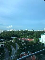 Cairnhill Crest (D9), Condominium #553754861